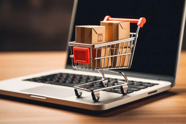 E-commerce website developer in Newtown